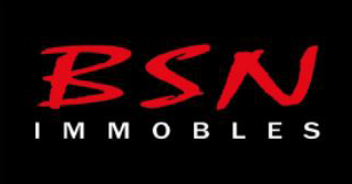 BSN IMMOBLES