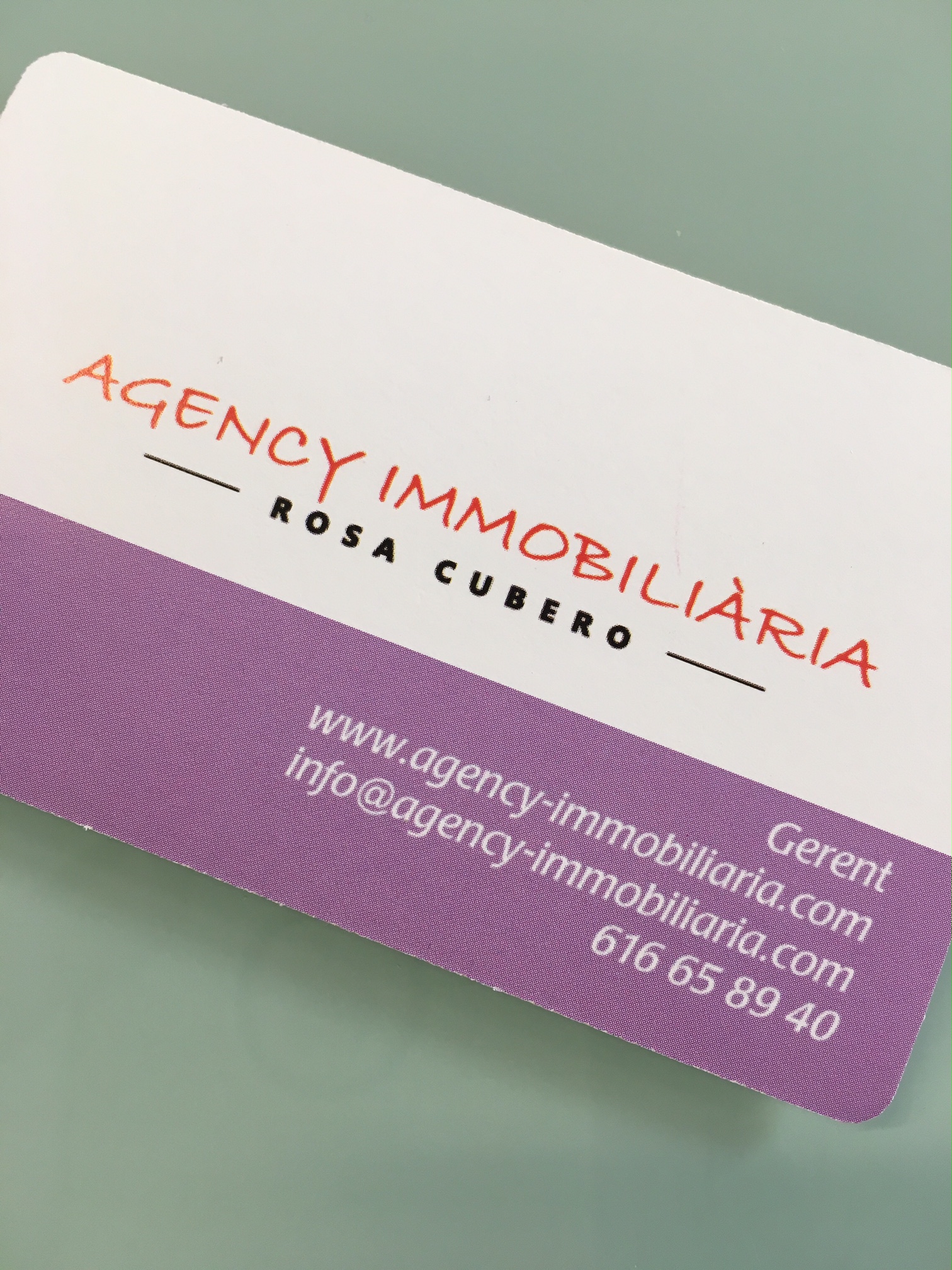 AGENCY IMMOBILIARIA